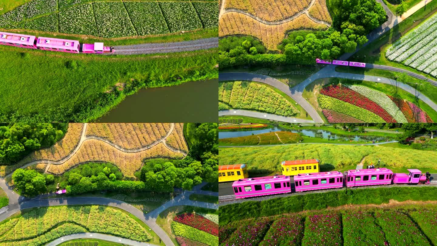 花海观光小火车