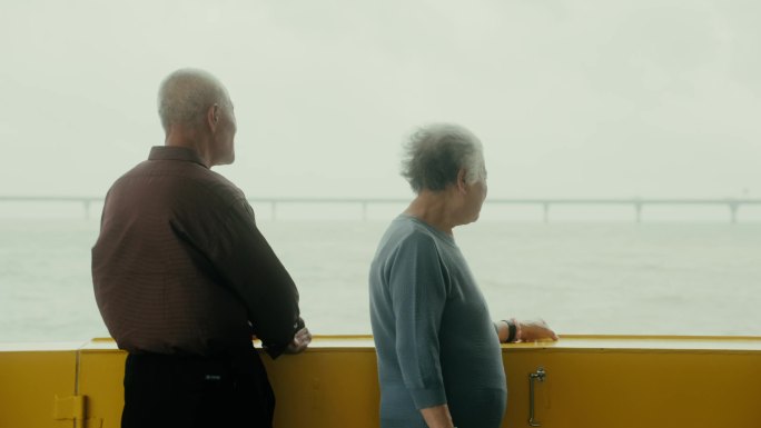 老人看海 氛围感电影感4K
