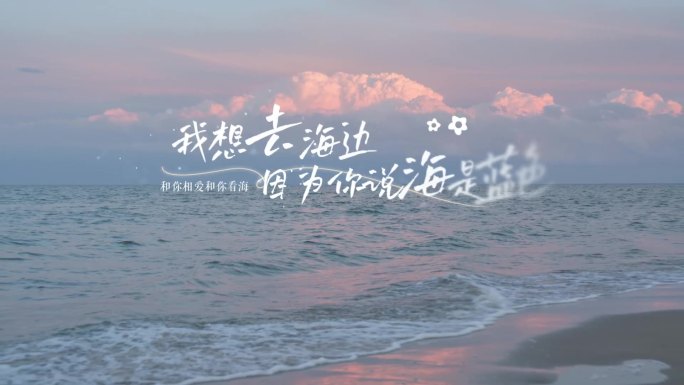 唯美综艺文字字幕