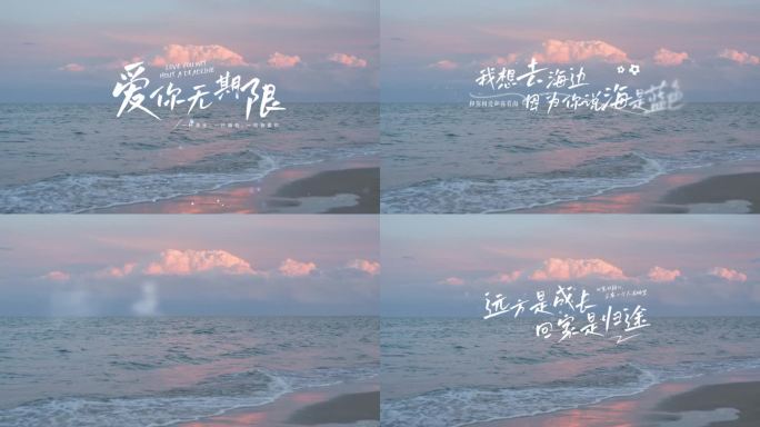 唯美综艺文字字幕
