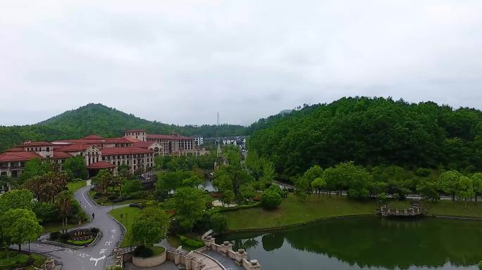 龙景雷迪森庄园航拍