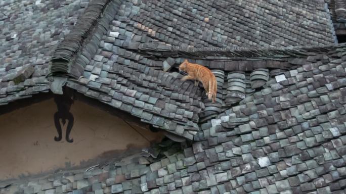 猫屋顶瓦古村民居