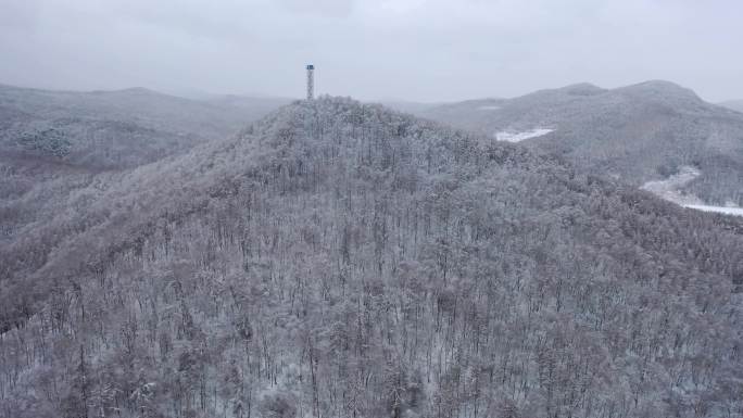 东北大雪  白山黑水