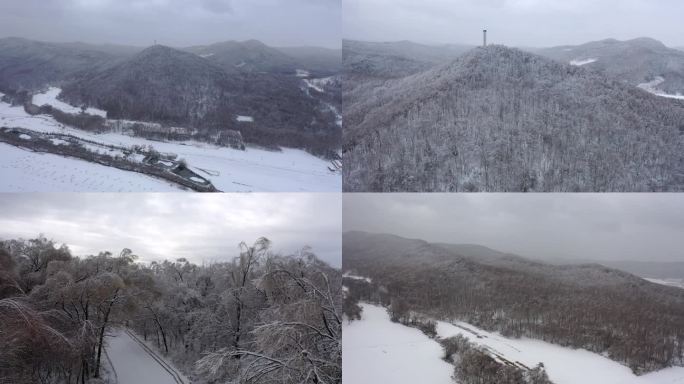 东北大雪  白山黑水