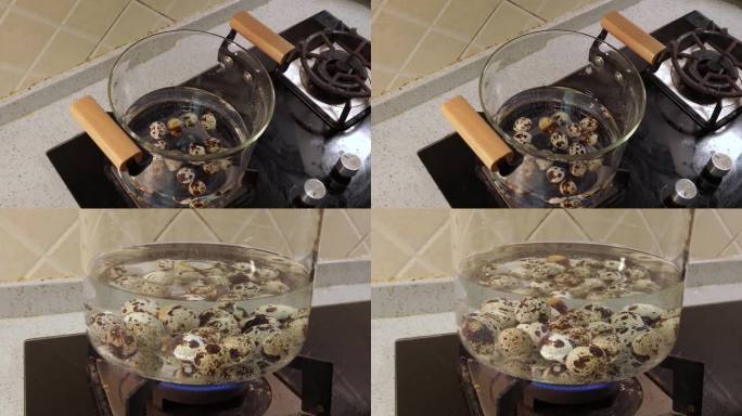 高温玻璃锅烧水在火上加热 (1)