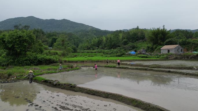 农村风光  乡村风景