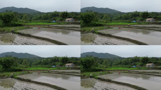 农村风光  乡村风景