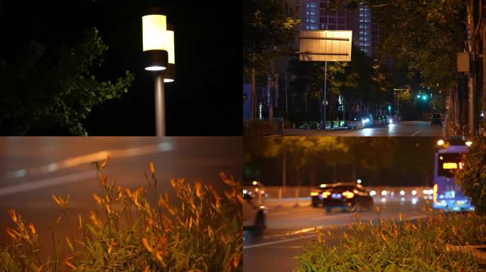 4K夜晚灯光下的树叶 微风吹拂