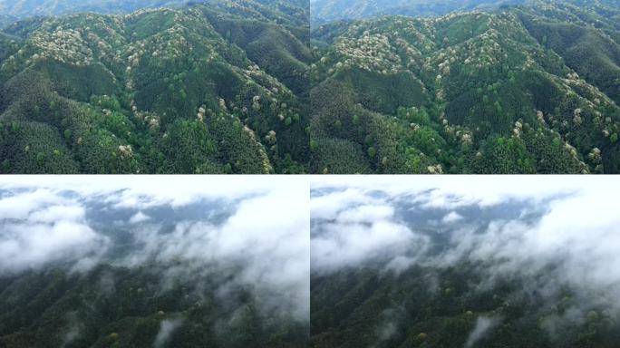 山峦山花云海航拍