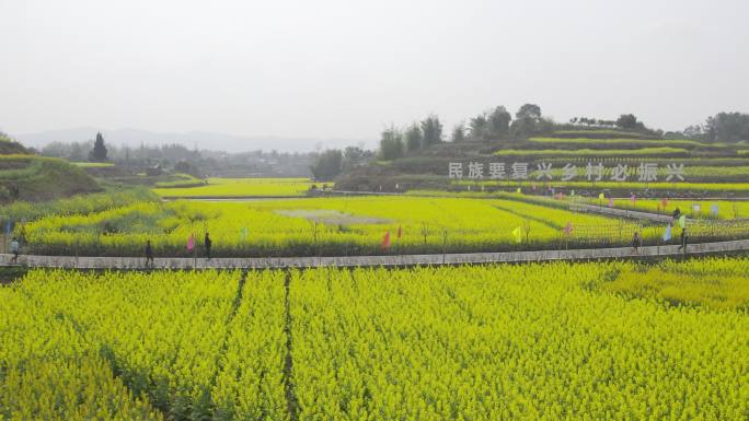 乡村振兴航拍大气空境