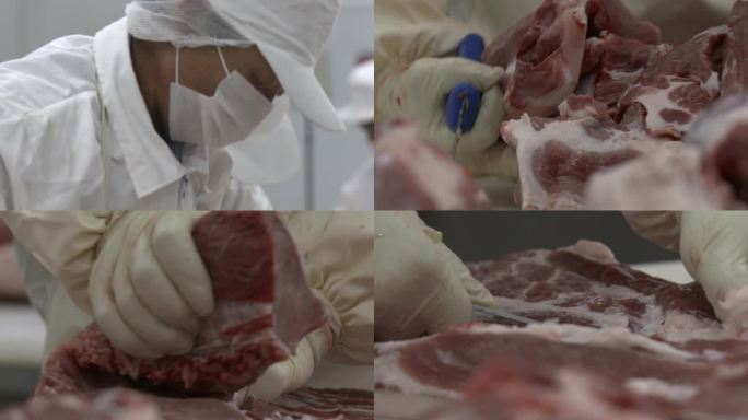 屠宰场肉加工猪肉食品肉制品加工生切割车间