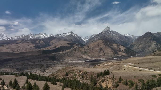 山川雪山松树山脉