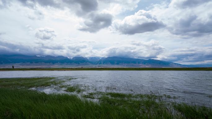 4K湖泊湿地延时