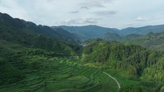 秀美山景