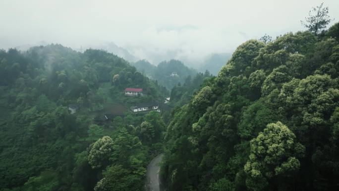 雨后山村