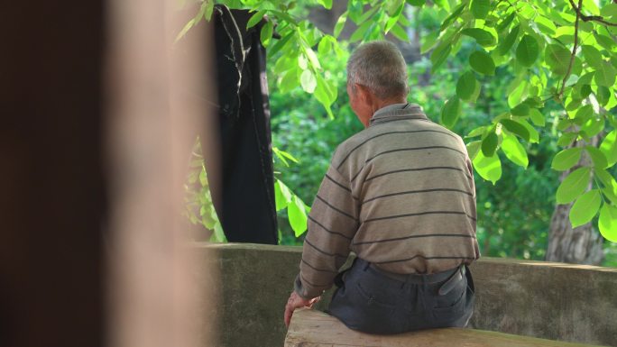 门前大树坐着的孤单老人丨4K丨原创实拍
