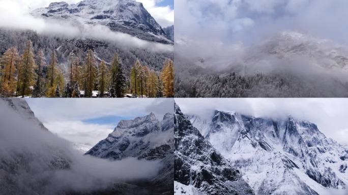 四姑娘山双桥沟森林雪山航拍