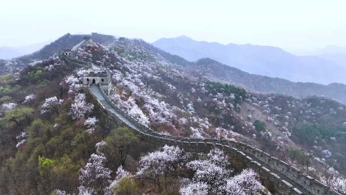 北京怀柔慕田峪长城花海春雨