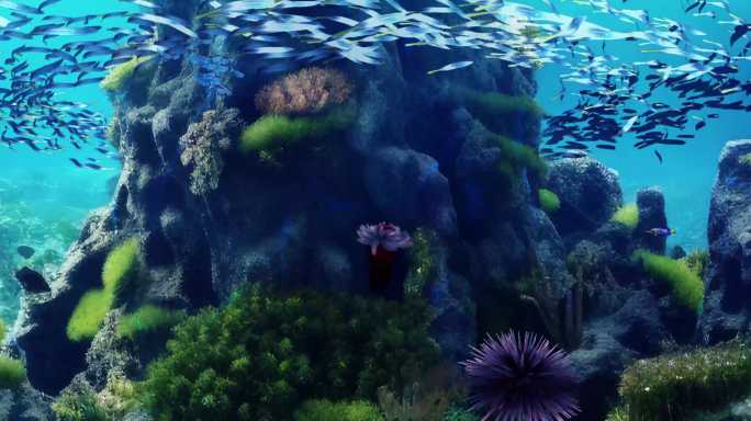 海底世界3