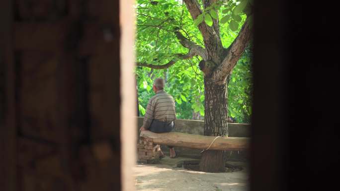 农村老人孤独背影丨4K丨原创实拍