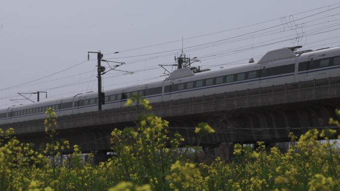 4K高铁驶过油菜花田