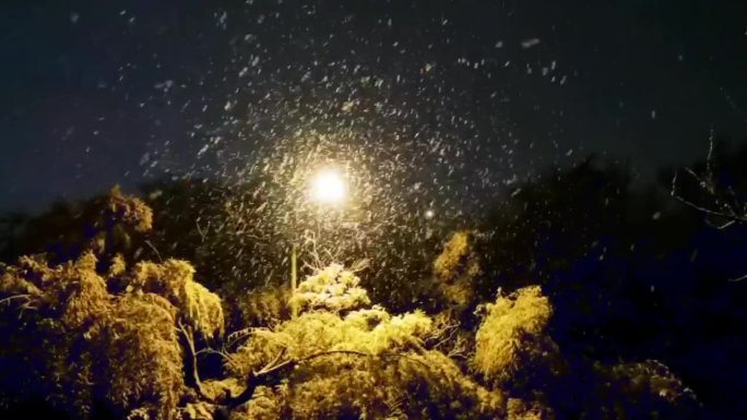 夜晚氛围雪景空镜