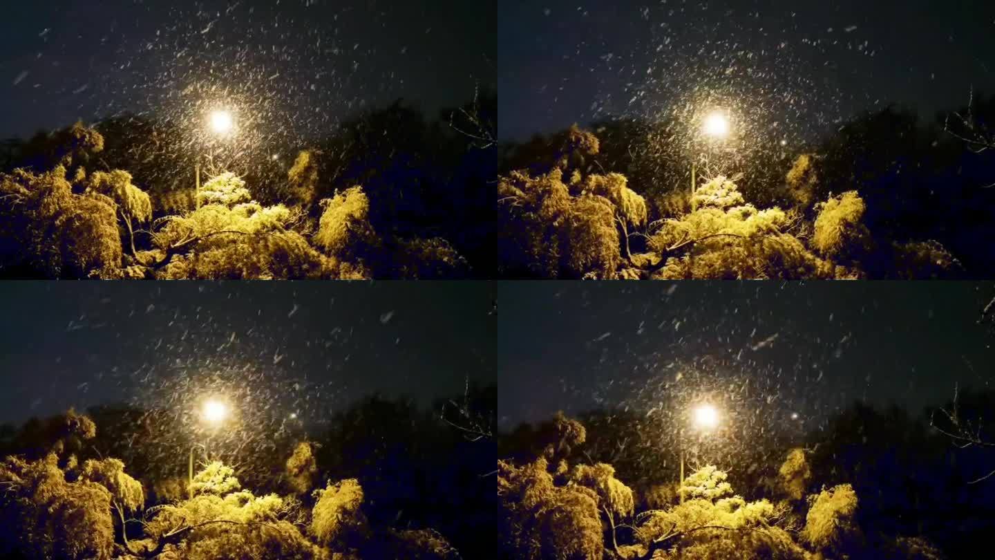 夜晚氛围雪景空镜