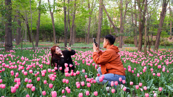 郁金香花海，植物园