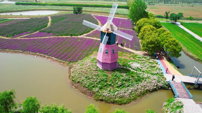 湿地公园花海自然薰衣草风车生态航拍风景