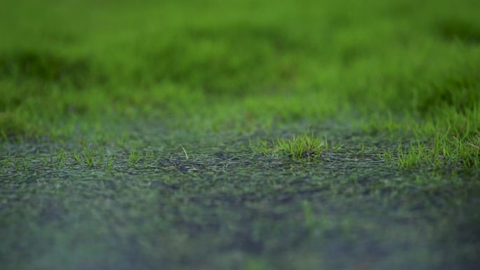 高清下雨雨滴滴落合集