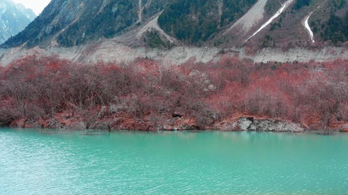 西藏冰湖