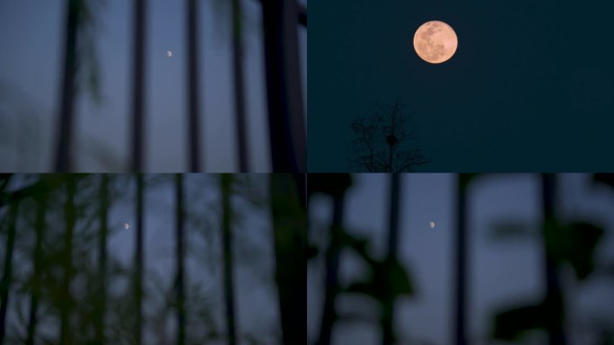 傍晚月亮 延时摄影_4K