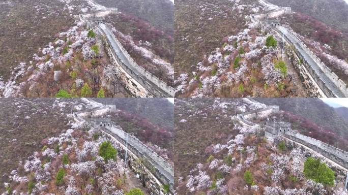 北京怀柔慕田峪长城花海春雨