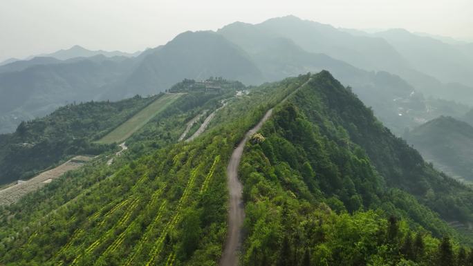 航拍4K贵州万重山茶园公路风景
