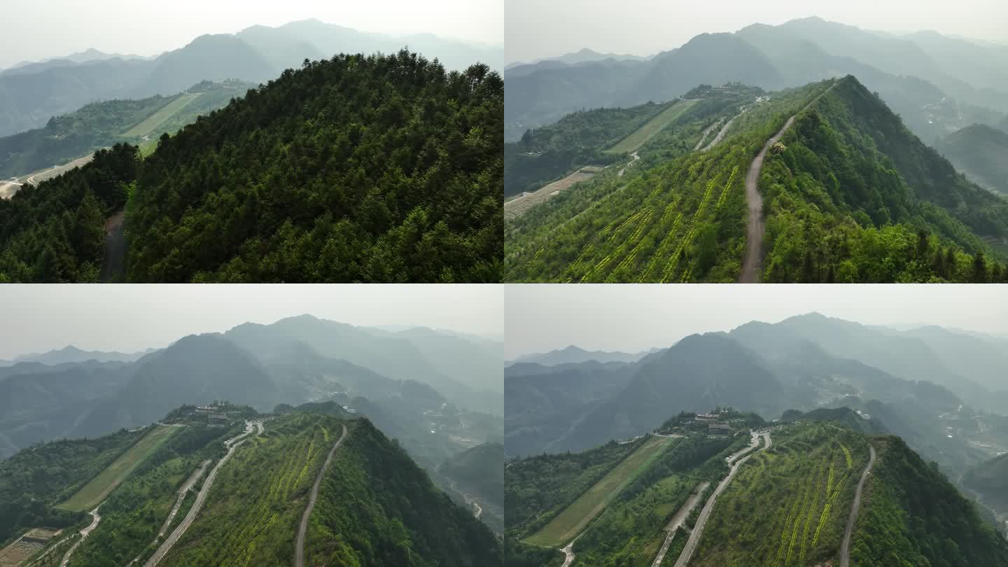 航拍4K贵州万重山茶园公路风景