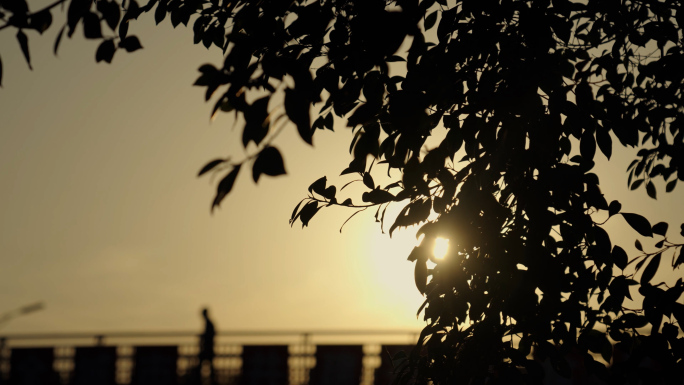 傍晚夕阳黄昏城市意境空镜