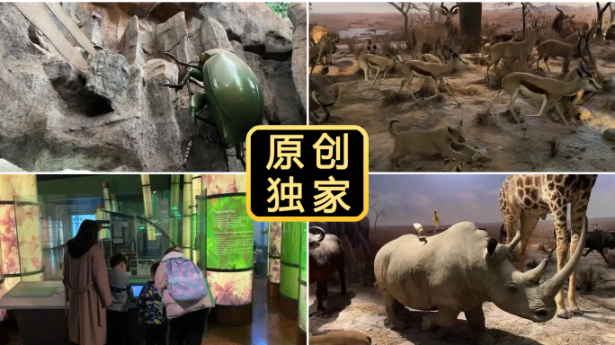 科技馆 参观科技馆 上海科技馆 科普教育