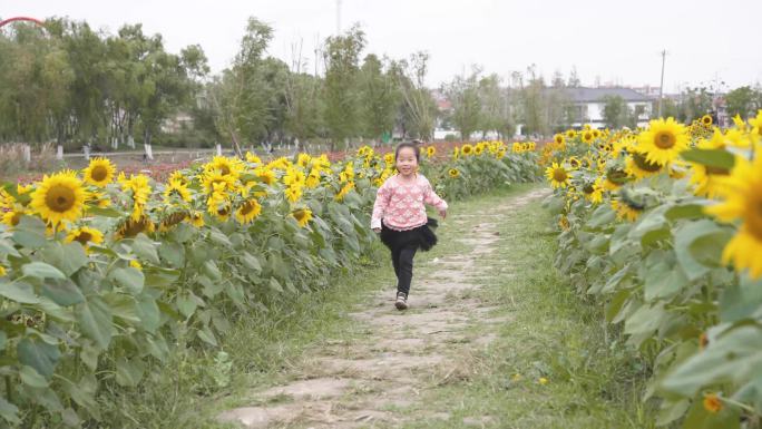 小女孩奔跑在向日葵花海  50帧