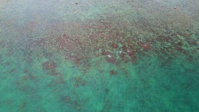 航拍海边礁石滩与浅海珊瑚区