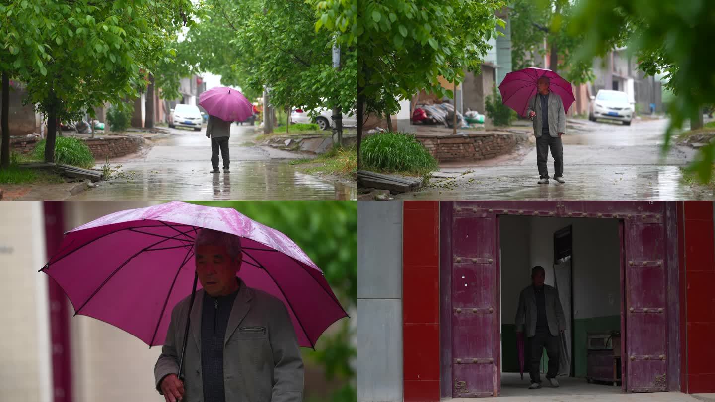 寂寞老人在雨地里走  老人脚步