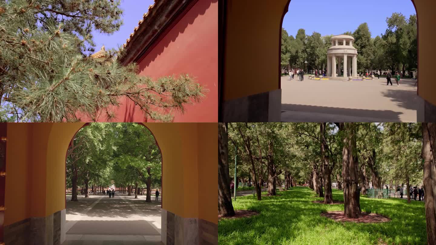 北京中山公园：宫廷红琉璃瓦苍松翠柏