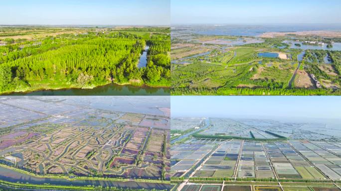 【12分钟】洪泽湖湿地景区 水产养殖