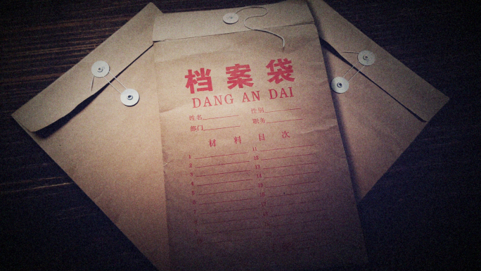 案件档案照片展示ae模板