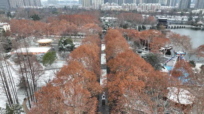 合肥地标建筑大东门逍遥津雪景航拍