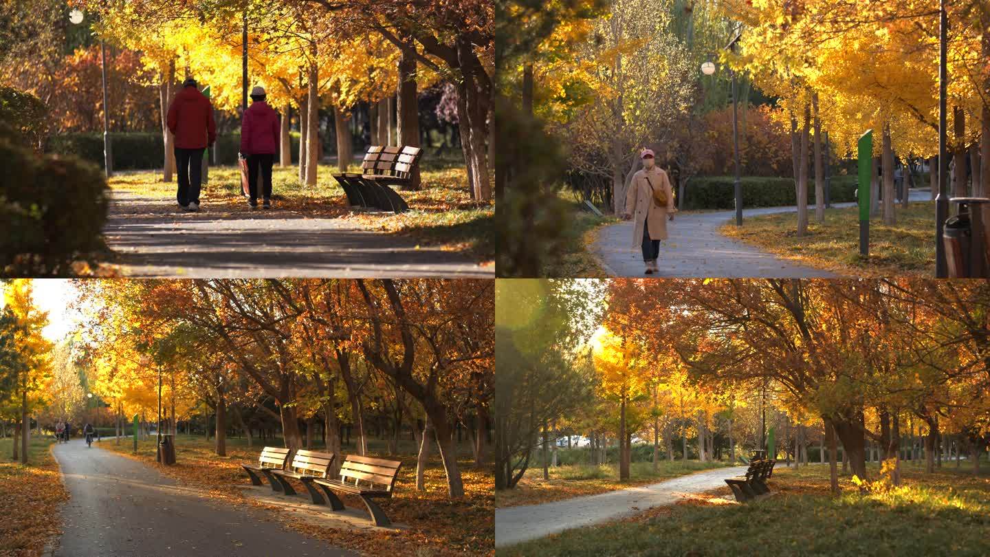 秋季公园散步游人