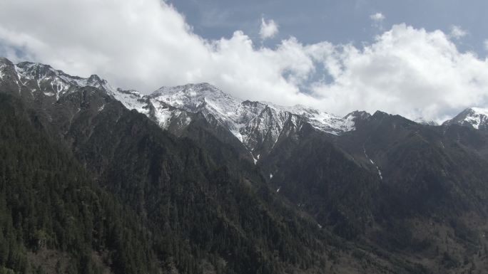 川西高原森林雪山航拍非调色片