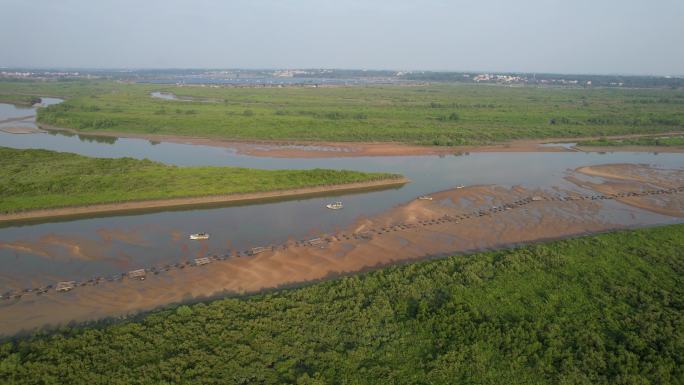 湛江高桥红树林保护区