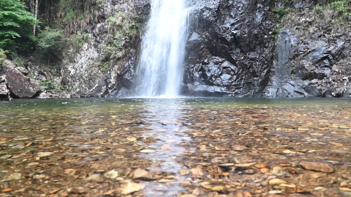 高山流水瀑布源溪雨林山白酒酿植被自然森林