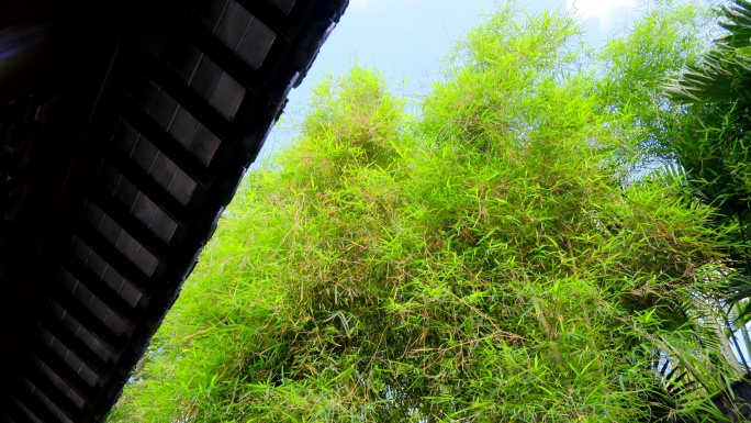 中式园林庭院围墙竹子