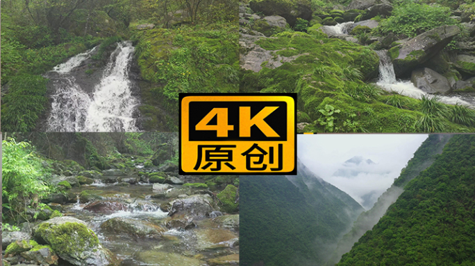 4k森林大自然流水风景树林山水自然山山川